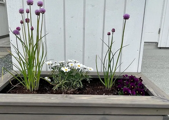 6 Person In Huglo-by Traum *